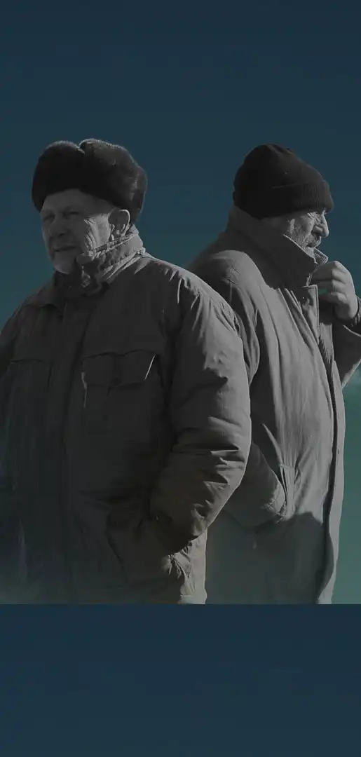 Сірі бджоли