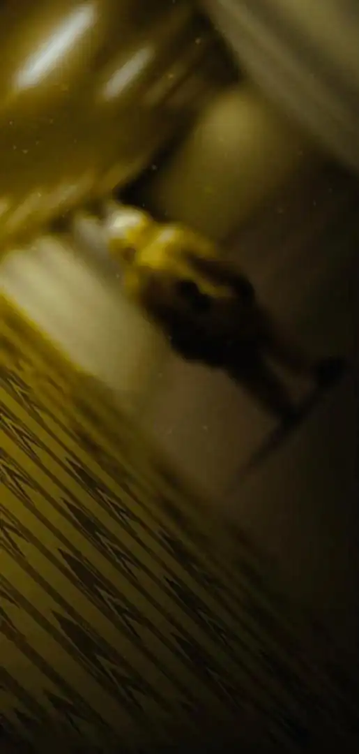 Backrooms: Залаштунки